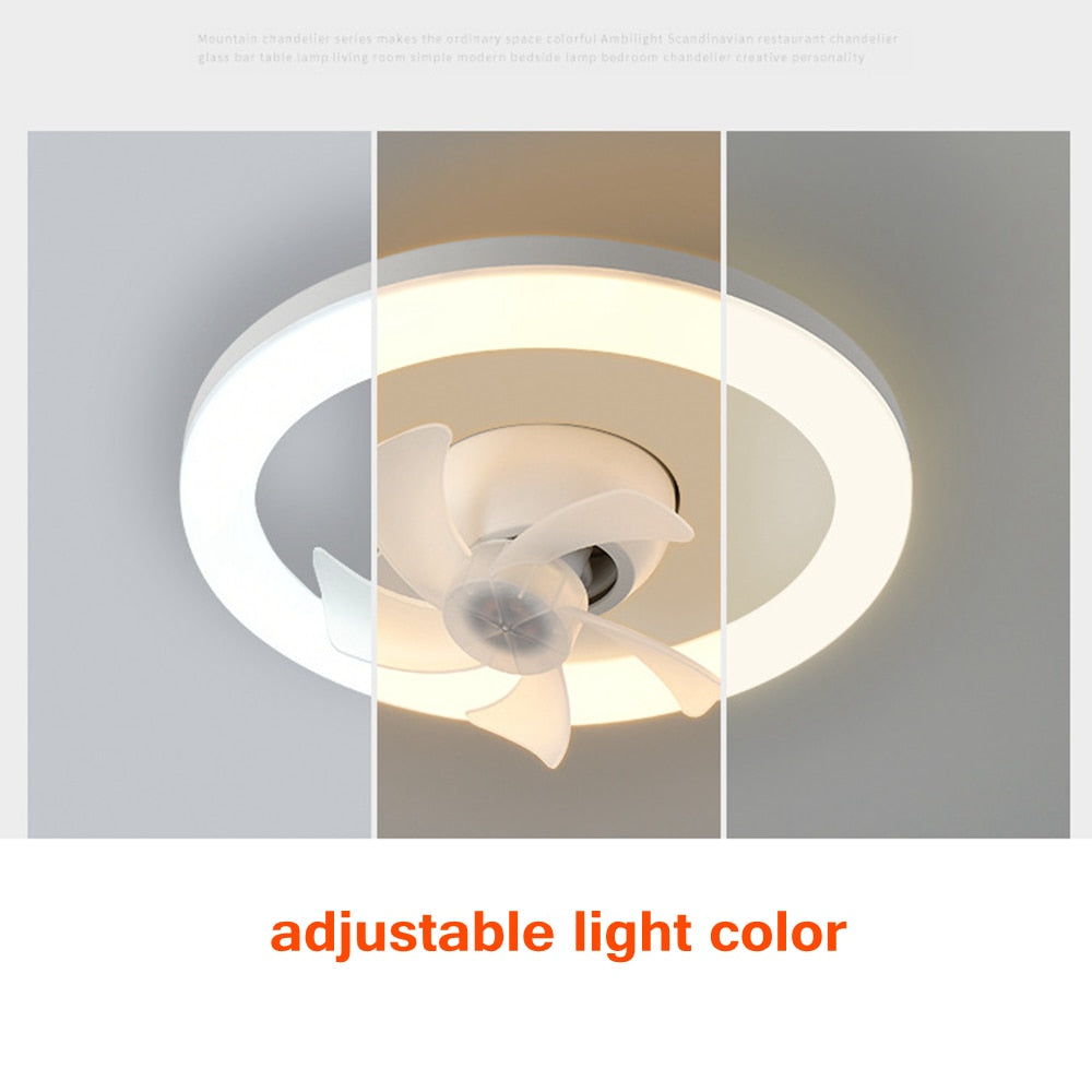 Dual Function LED Ceiling Fan Light