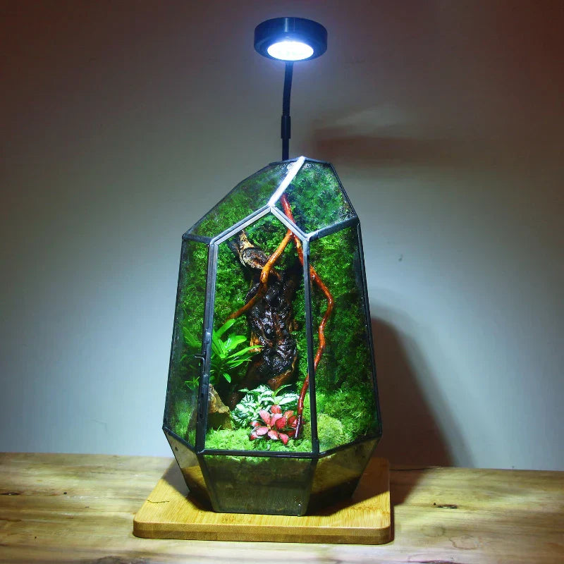 Mini Indoor Glass Plant Terrarium