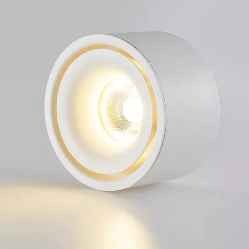 Anti-glare LED Downlight Ceiling Lamp