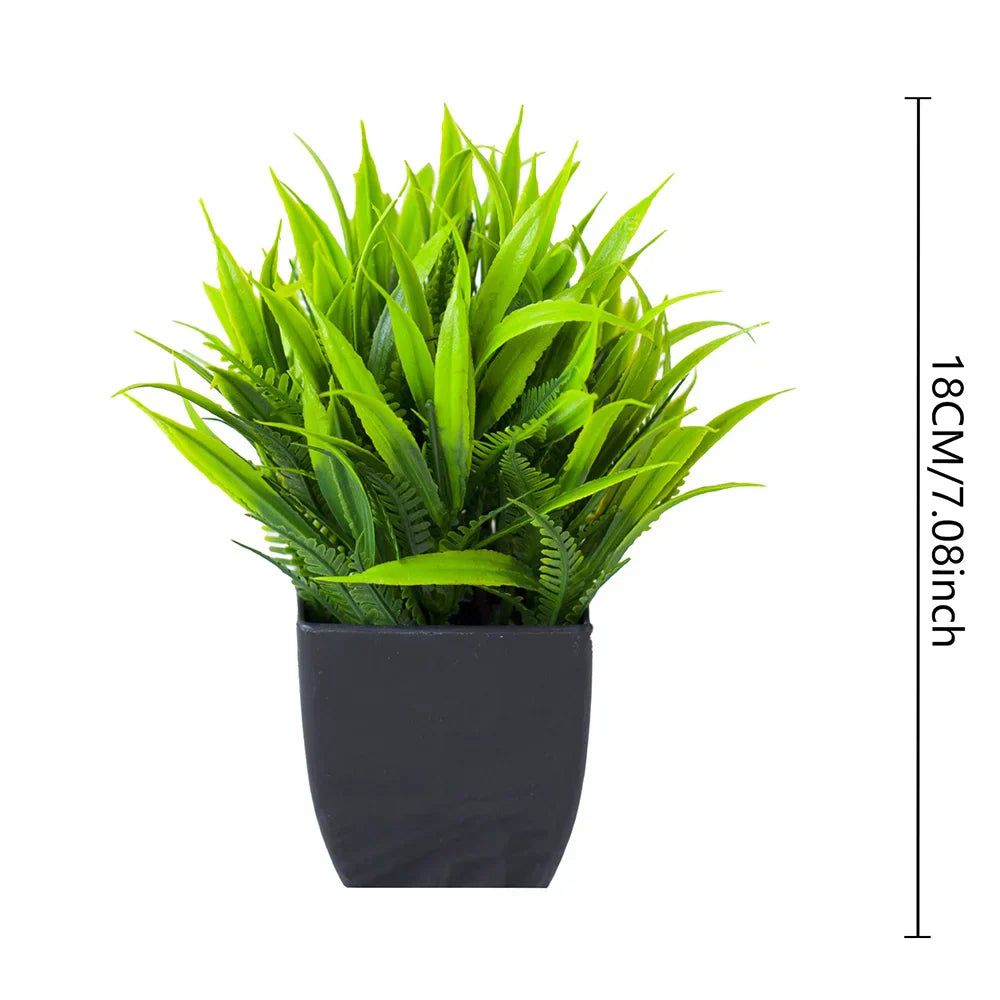 Small Realistic Eucalyptus Plant in Black Planter