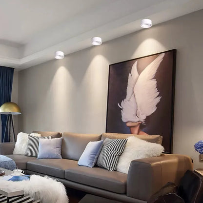 Anti-glare LED Downlight Ceiling Lamp