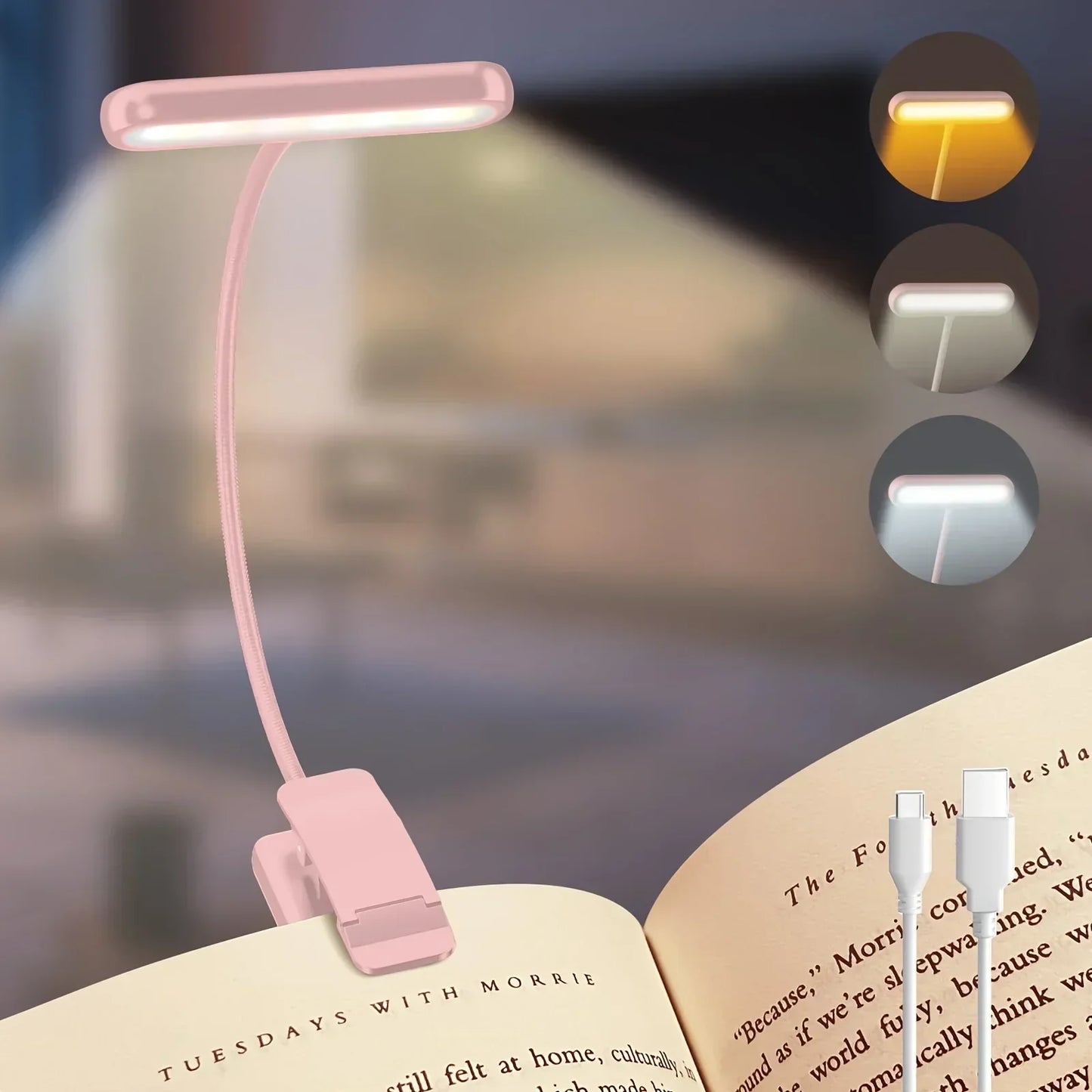 Portable LED Clip Lamp with Adjustable Brightness