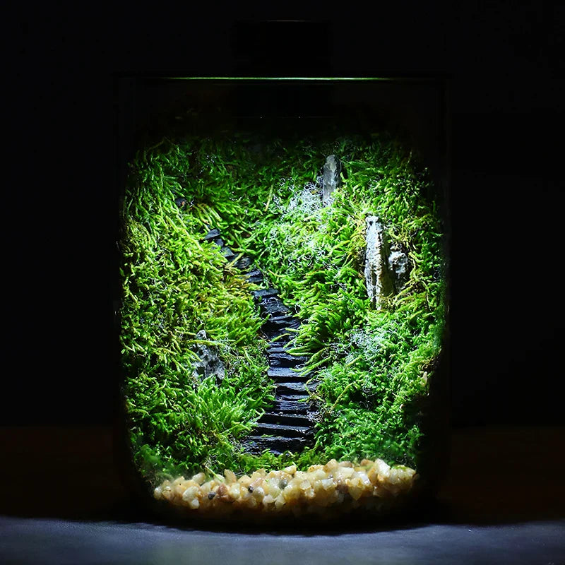 Small Indoor Garden Glass Terrarium Vase