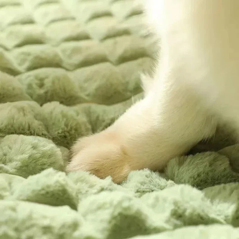 Comfortable Pet Memory Foam Bed with Removable Cover