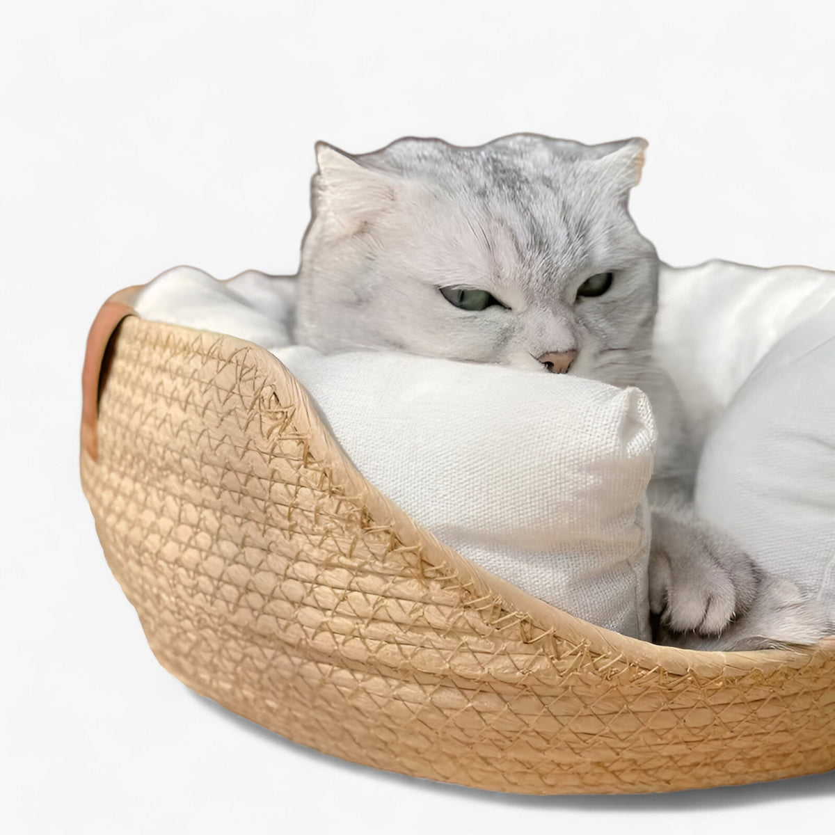 Handwoven Bamboo Pet Bed with Cushion – Rattan Cat and Small Dog Basket