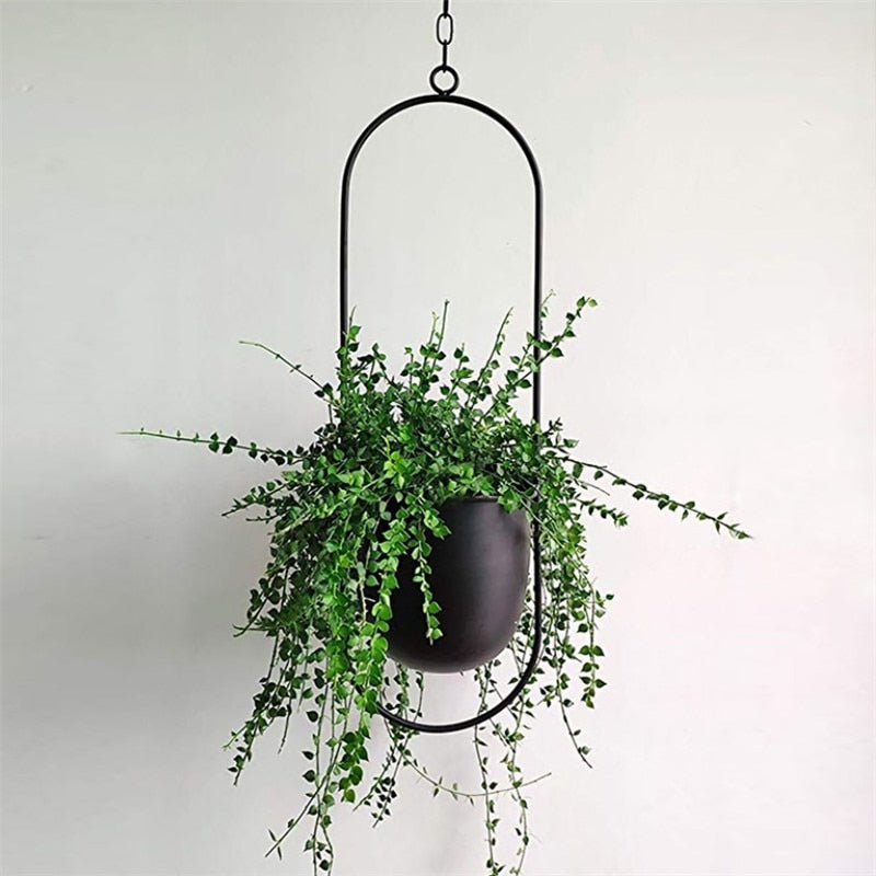 Stylish Macrame Plant Hangers for Modern Homes