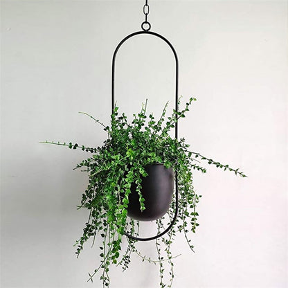 Stylish Macrame Plant Hangers for Modern Homes
