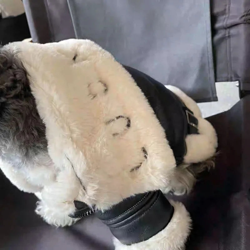 Waterproof Pet Motorcycle Jacket Cotton Dog Coat - Yeezlab