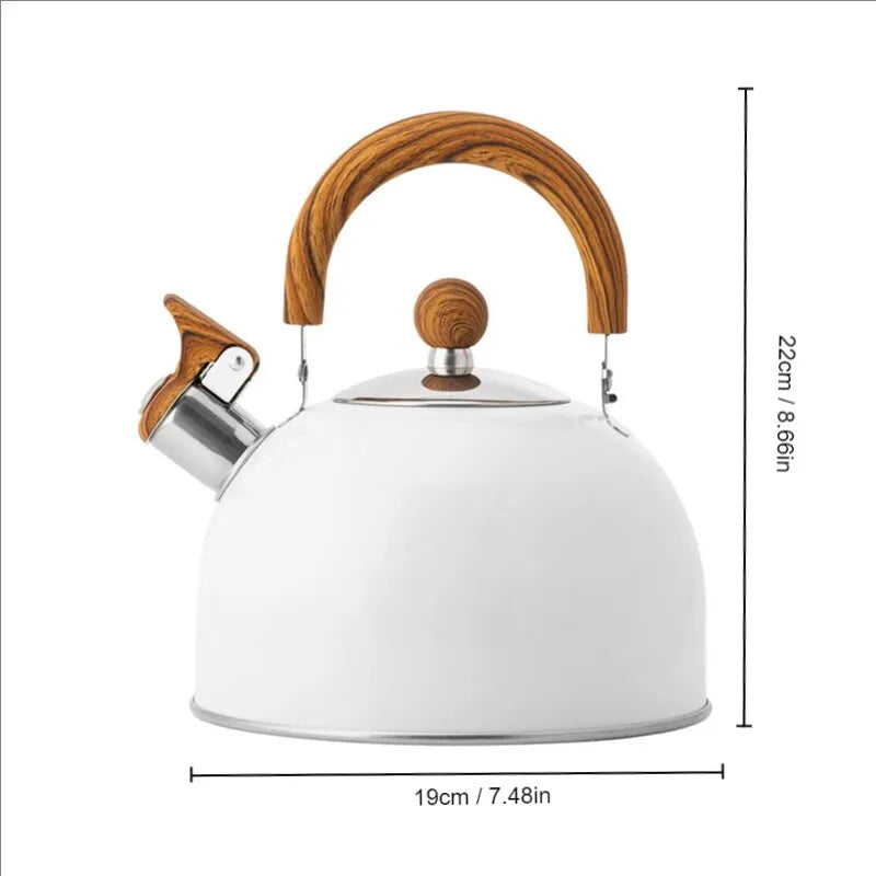 Stainless Steel Large Capacity Kettle