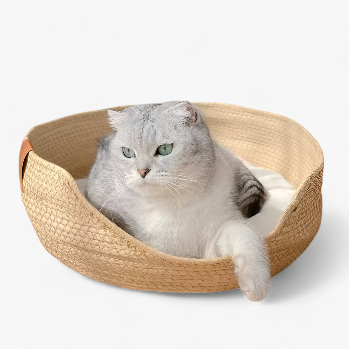 Cozy Natural Bamboo Pet Bed with Plush Cushion - Yeezlab