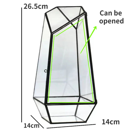 Mini Indoor Glass Plant Terrarium - Yeezlab