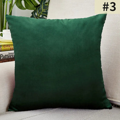 Yeezlab | Soft Velvet Pillow Cover - for Modern Homes