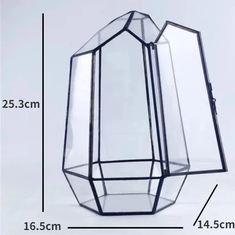 Mini Indoor Glass Plant Terrarium