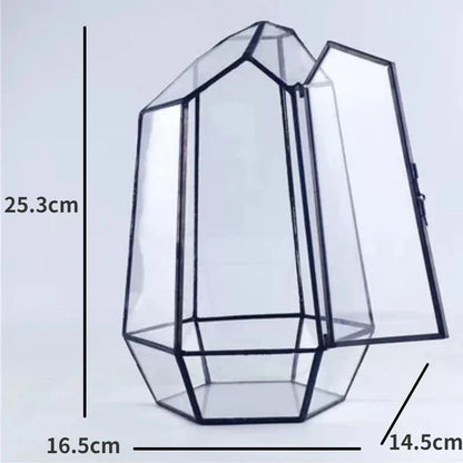 Mini Indoor Glass Plant Terrarium