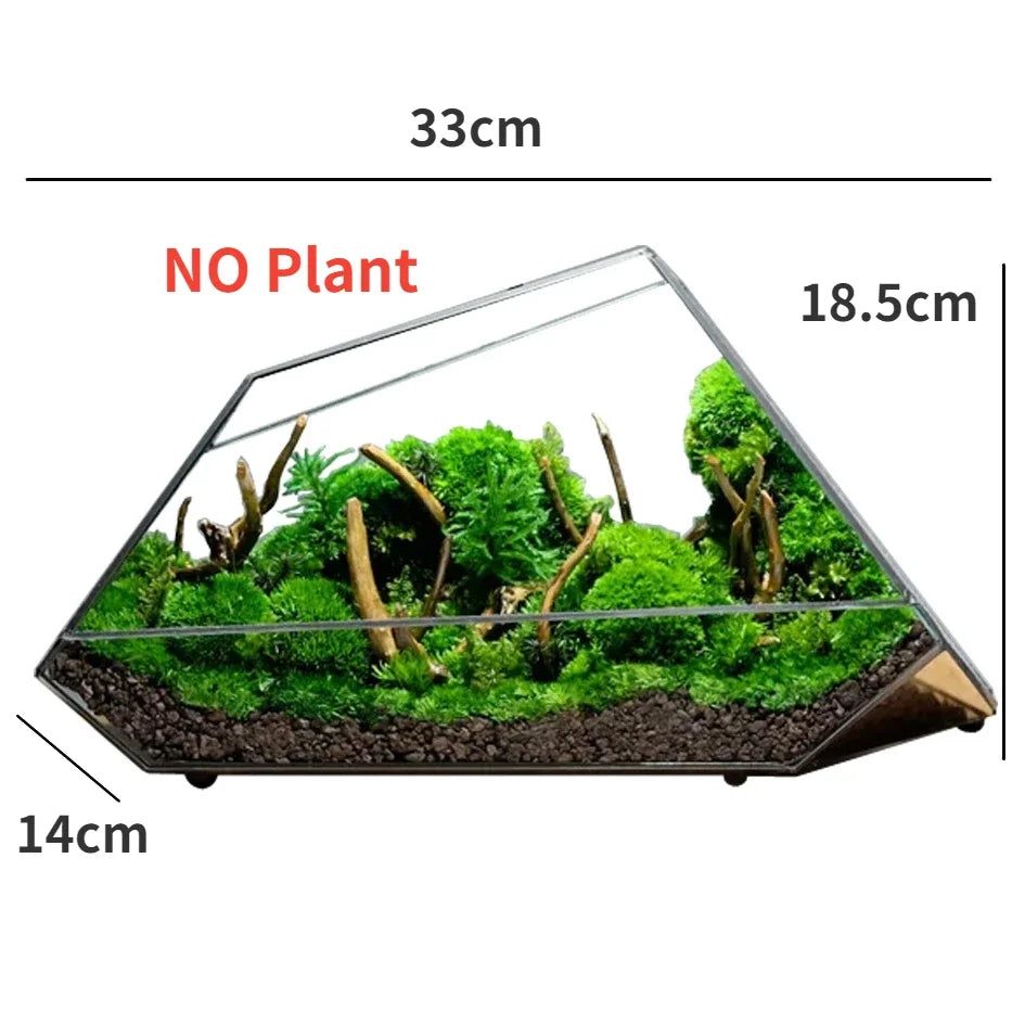 Mini Glass Succulent Terrarium Planter Vase - Yeezlab