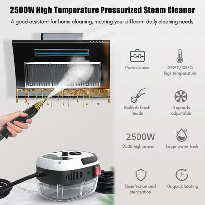 Powerful Portable Steam Cleaning Gun