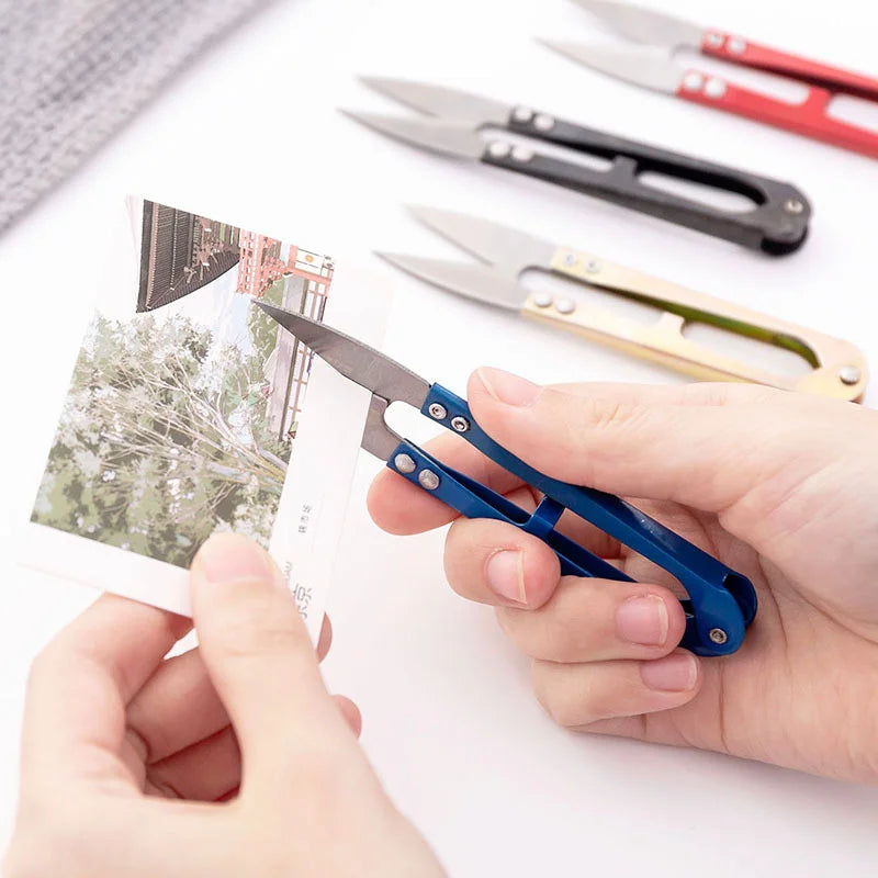 Compact Precision Scissors for Home and Garden Use