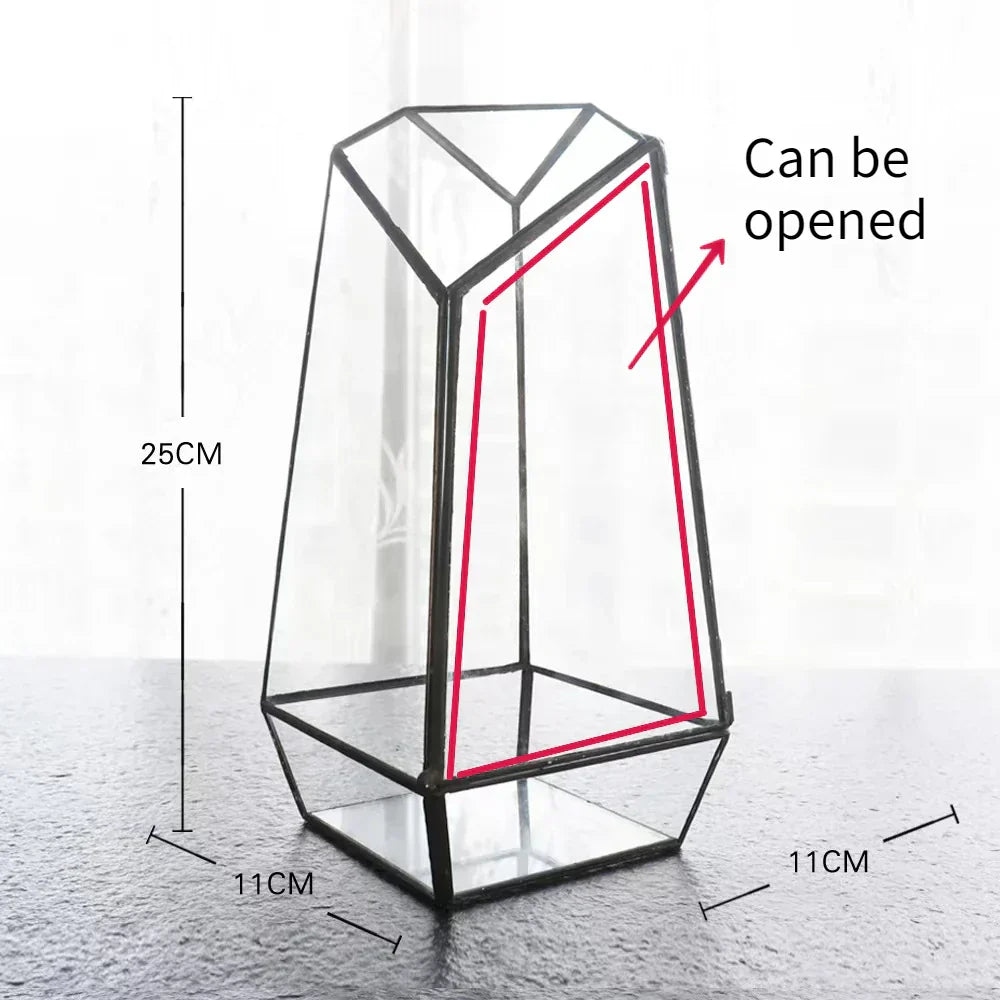 Mini Indoor Glass Plant Terrarium