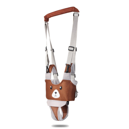 Smart Walking Companion Device