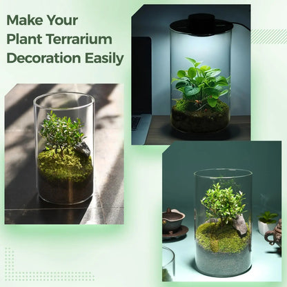 Small Indoor Garden Glass Terrarium Vase