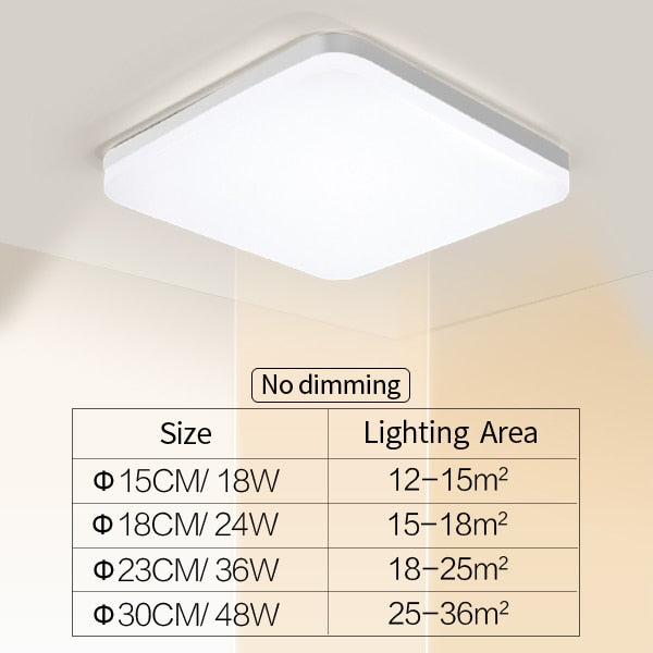 Elegant Home Slim LED Ceiling Lamp