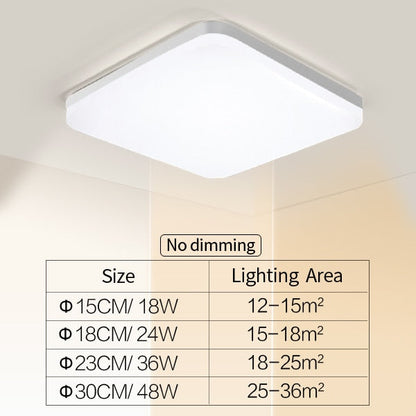 Elegant Home Slim LED Ceiling Lamp