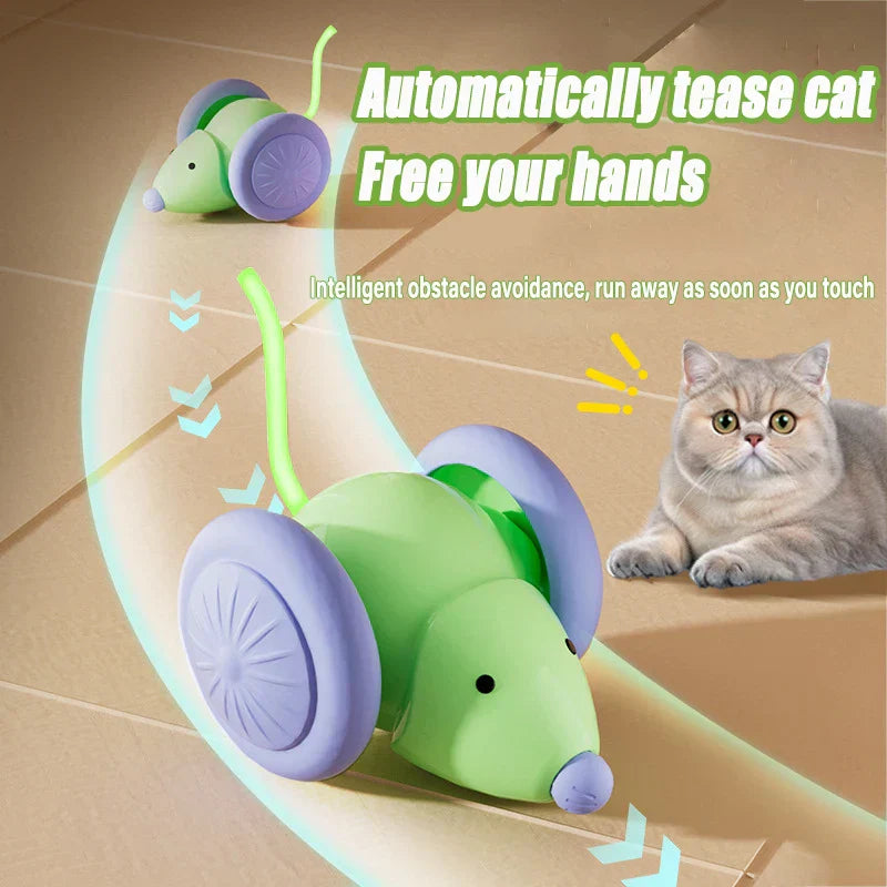 Fun Electronic Pet Mouse Toy