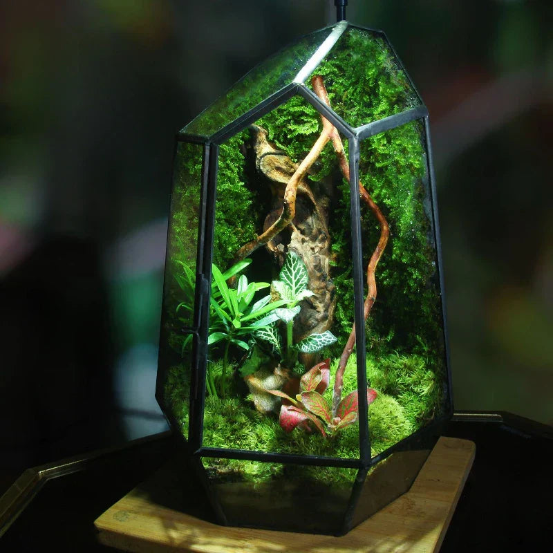 Mini Indoor Glass Plant Terrarium