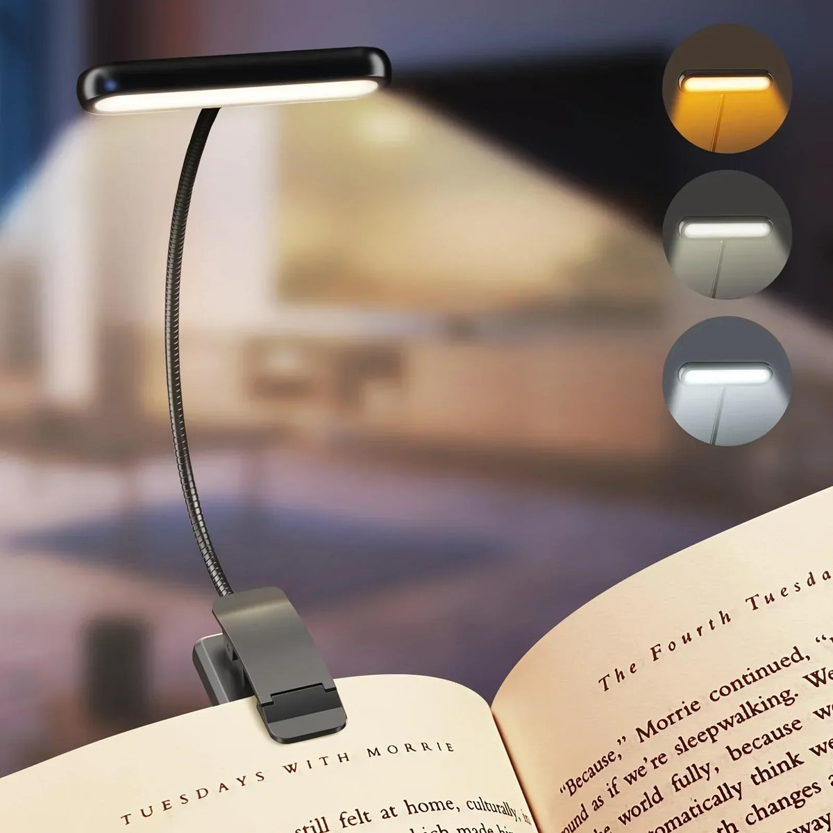 Portable LED Clip Lamp with Adjustable Brightness - Yeezlab