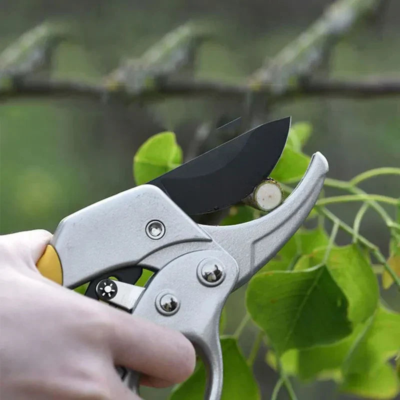 Yeezlab | Small Branch Cutting Garden Pruning Shears