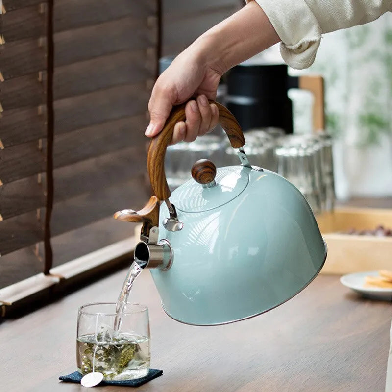 Stainless Steel Large Capacity Kettle