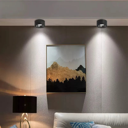 Anti-glare LED Downlight Ceiling Lamp