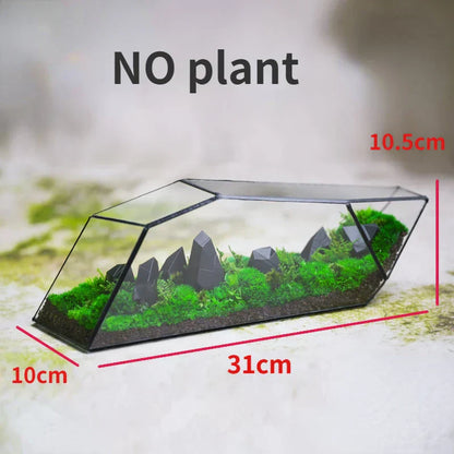 Mini Glass Succulent Terrarium Planter Vase