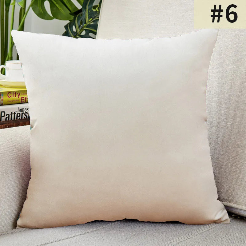 Yeezlab | Soft Velvet Pillow Cover - for Modern Homes