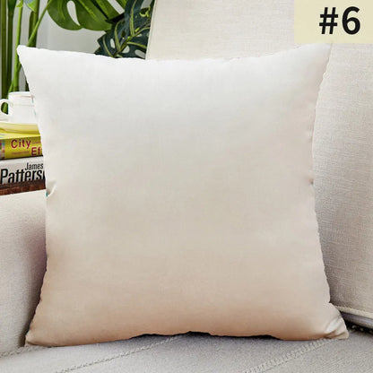 Yeezlab | Soft Velvet Pillow Cover - for Modern Homes