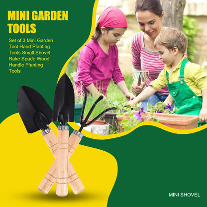Compact 3pc Garden Tool Kit, Wooden Handle, Metal Tips
