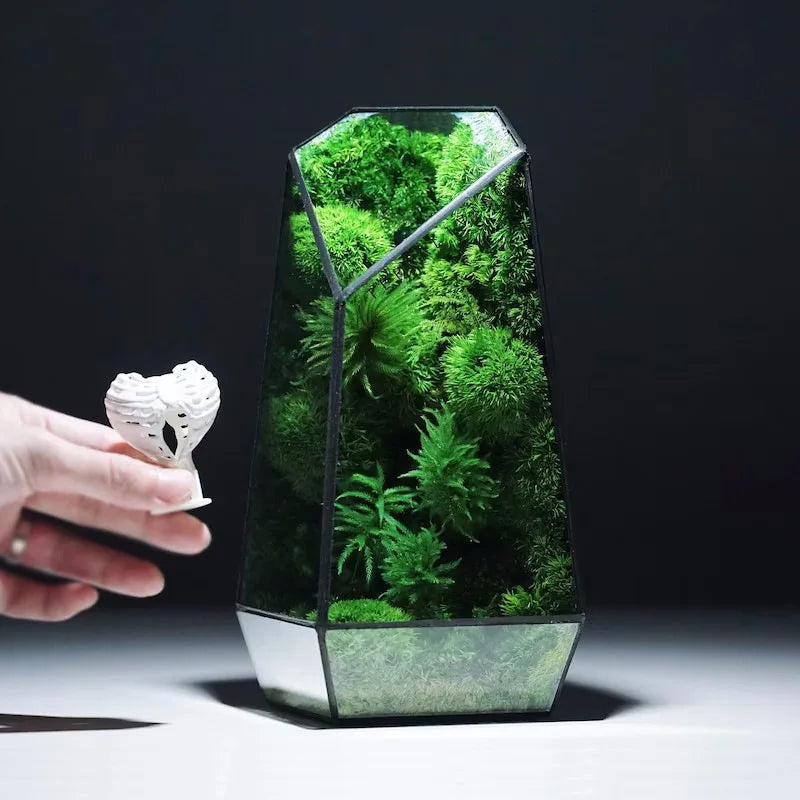 Mini Indoor Glass Plant Terrarium
