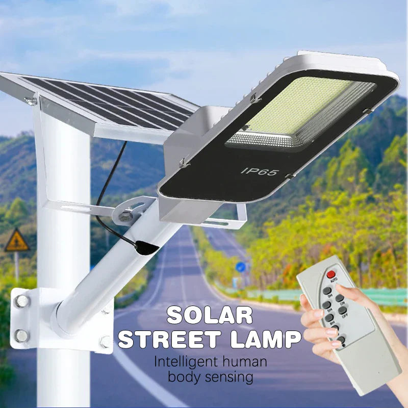 Durable Outdoor Solar Powered Motion Light
