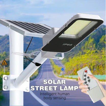 Durable Outdoor Solar Powered Motion Light