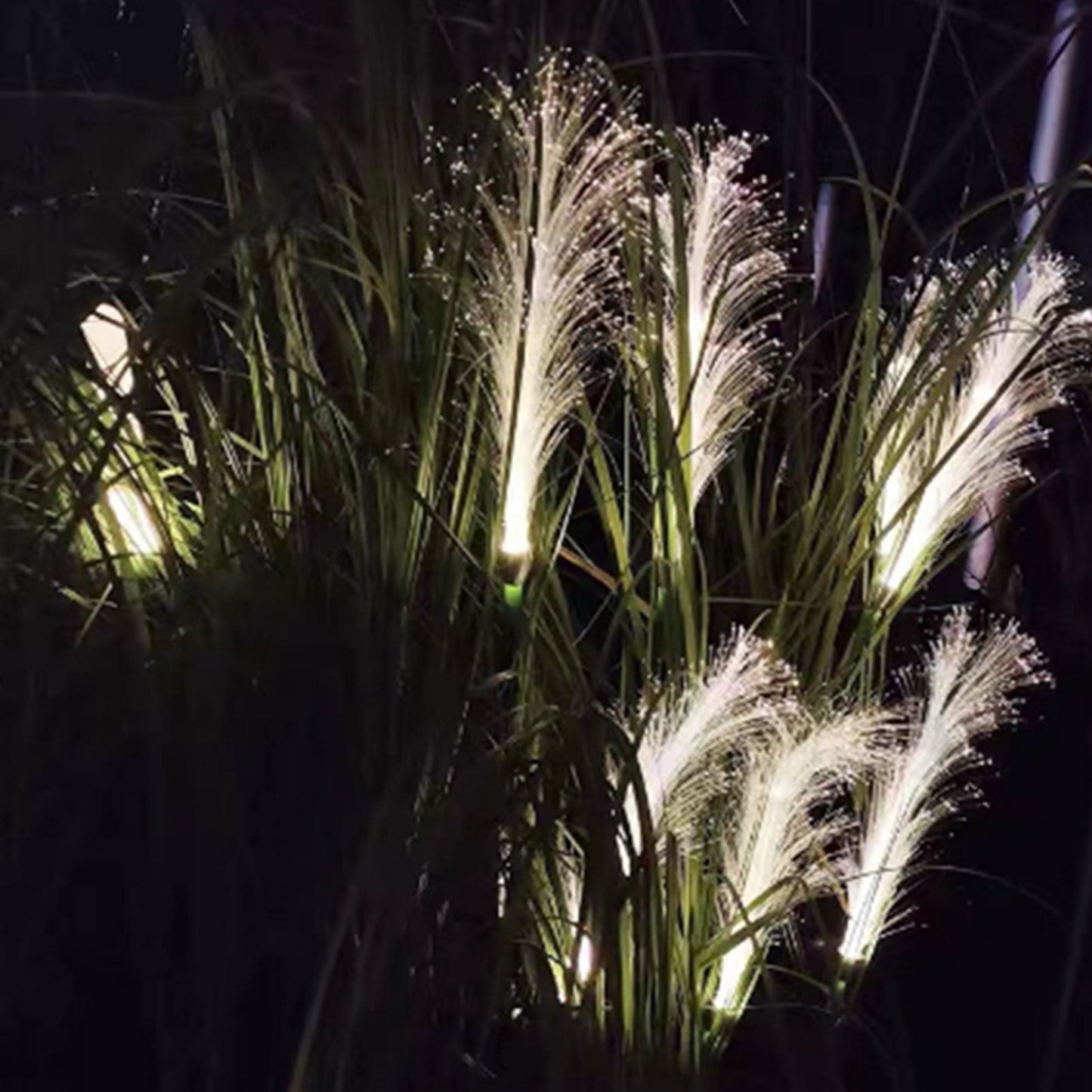 Outdoor Solar Powered Waterproof String Lights