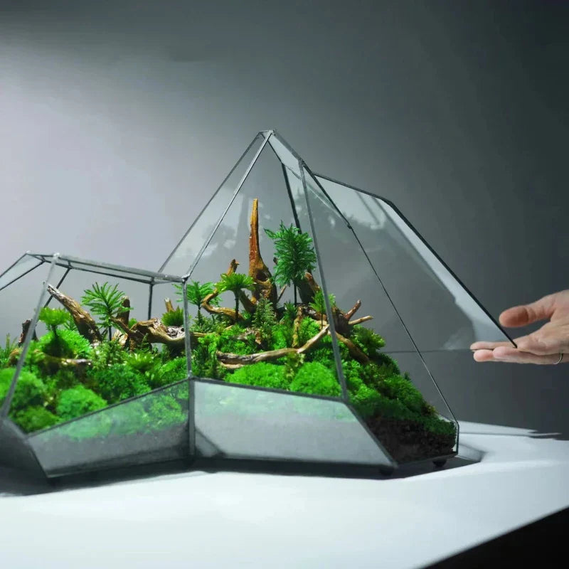 Mini Glass Succulent Terrarium Planter Vase