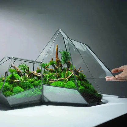 Mini Glass Succulent Terrarium Planter Vase