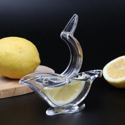 Fresh Citrus Burst Juice Drink