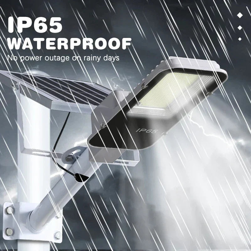 Durable Outdoor Solar Powered Motion Light
