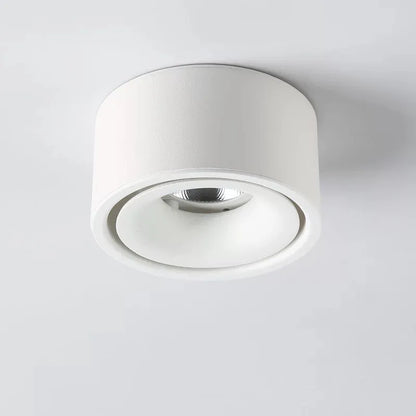 Anti-glare LED Downlight Ceiling Lamp