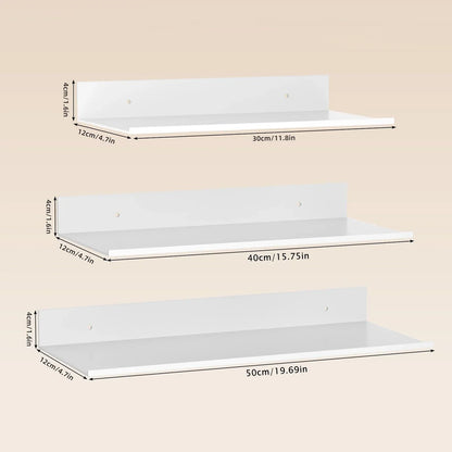 Modern Metal Floating Wall Shelf