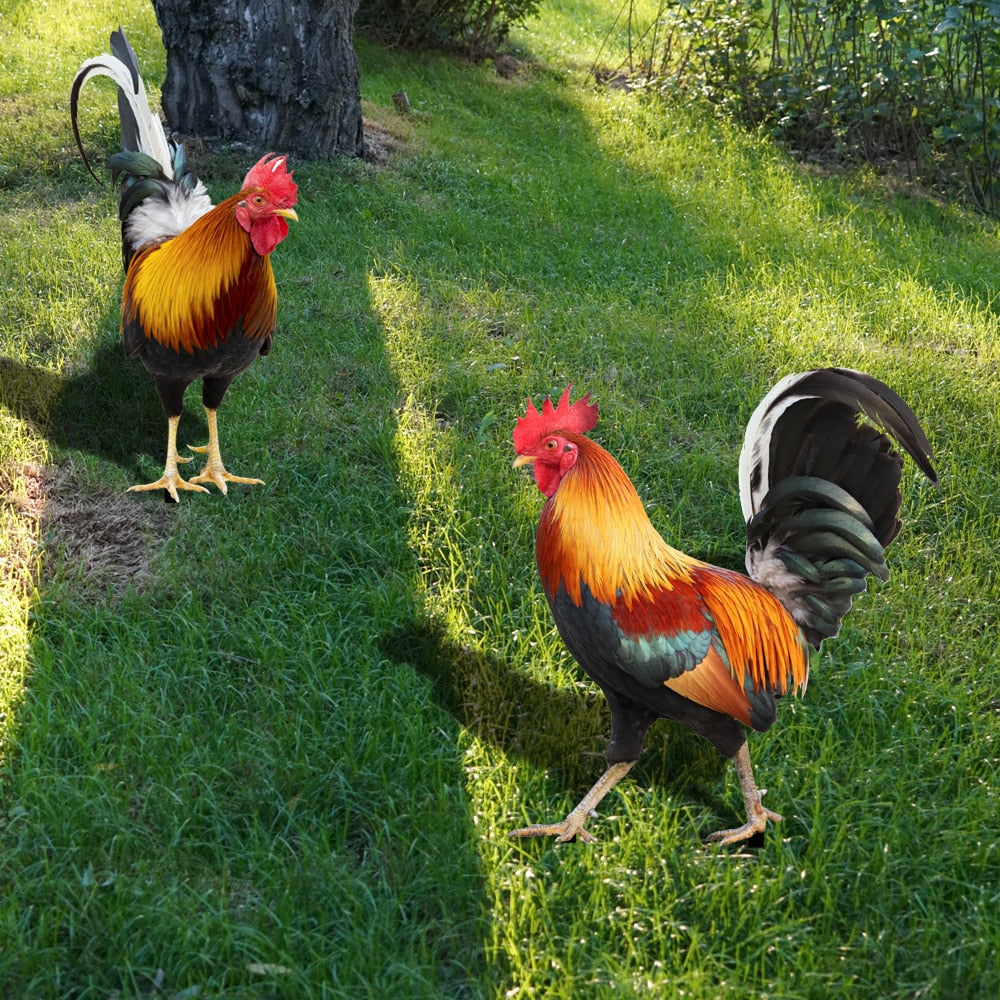Colorful Bird Garden Statue - Yeezlab