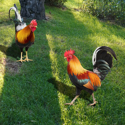Colorful Bird Garden Statue - Yeezlab