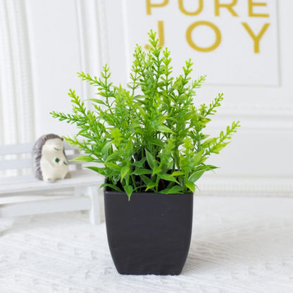 Small Realistic Eucalyptus Plant in Black Planter