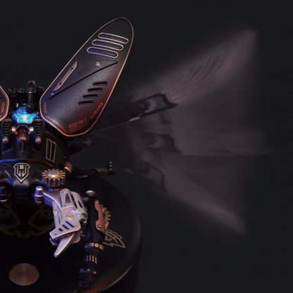 Cool 3D Robot Beetle Kit